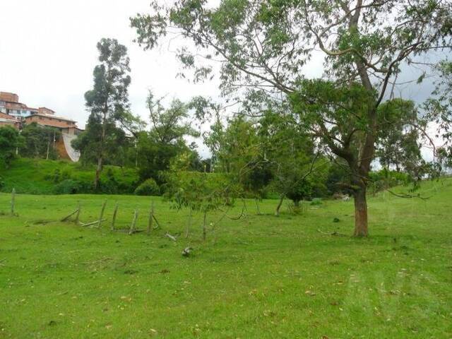 Terreno para Venta en Rionegro - 4