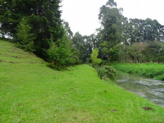 Terreno para Venta en Rionegro - 5