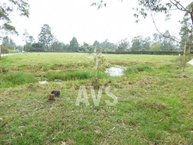 #2339 - Terreno para Venta en Rionegro - ANT - 1
