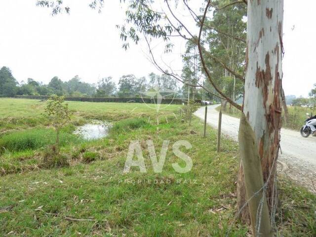 #2339 - Terreno para Venta en Rionegro - ANT - 3