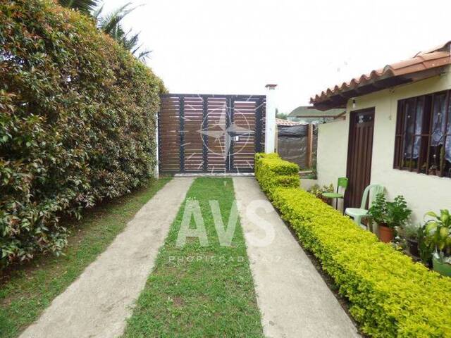 Finca para Venta en La Ceja - 5