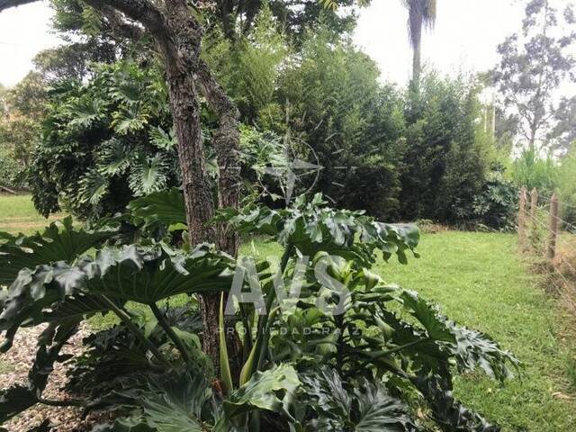 Industrial para Venta en Rionegro - 4