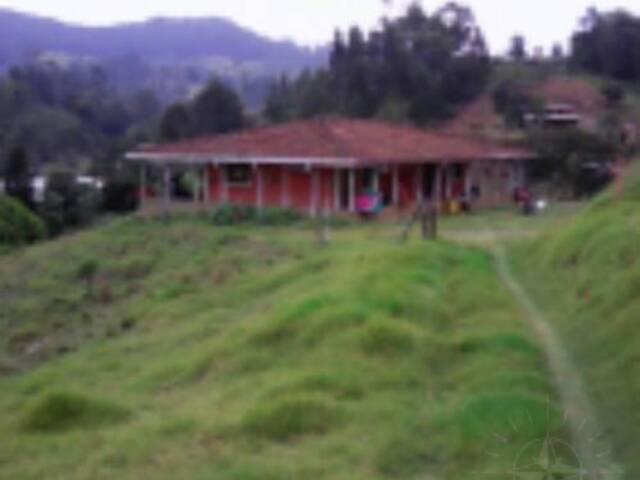 #440 - Finca para Venta en Retiro - ANT - 3
