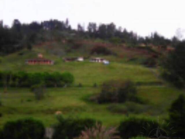 #440 - Finca para Venta en Retiro - ANT - 2