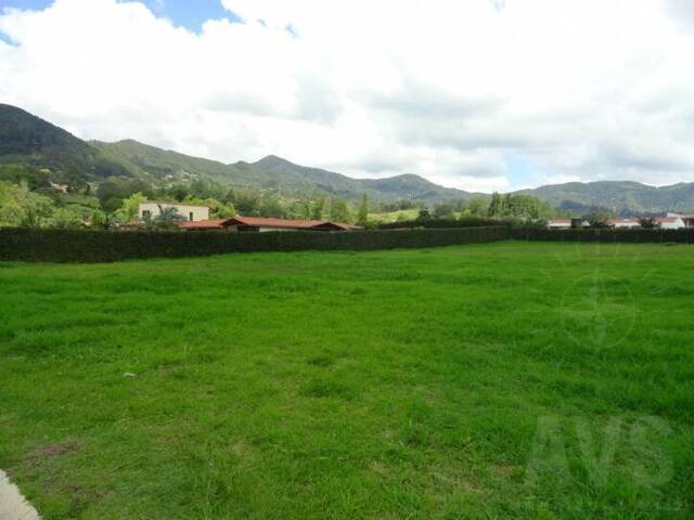 Terreno para Venta en La Ceja - 4