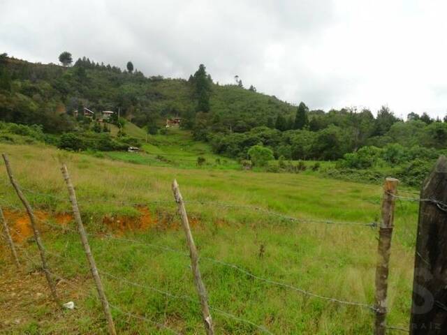 Terreno para Venta en Guarne - 4