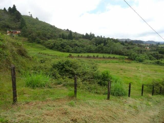 Terreno para Venta en Guarne - 5