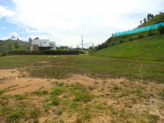Terreno para Venta en Rionegro - 2
