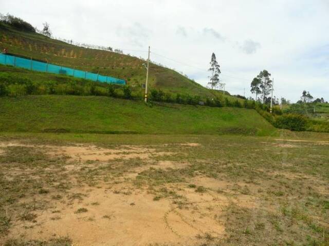 Terreno para Venta en Rionegro - 3