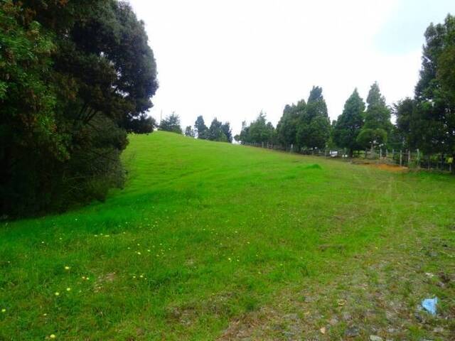 Terreno para Venta en Envigado - 2