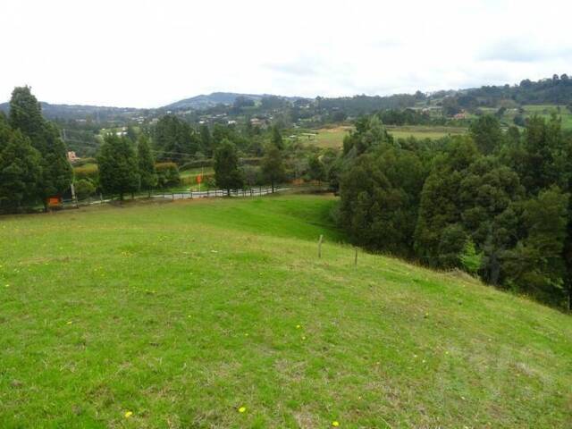 Venta en Sector El Escobero - Envigado