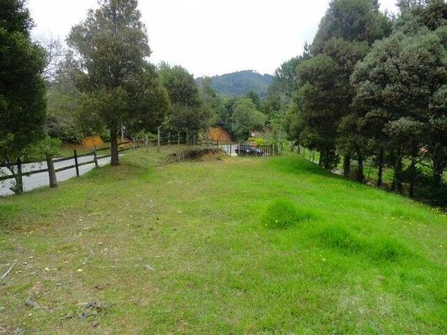 Terreno para Venta en Envigado - 3