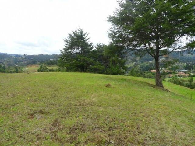 Terreno para Venta en Envigado - 4