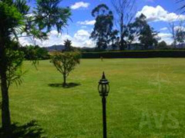 #469 - Finca para Venta en Rionegro - ANT - 3