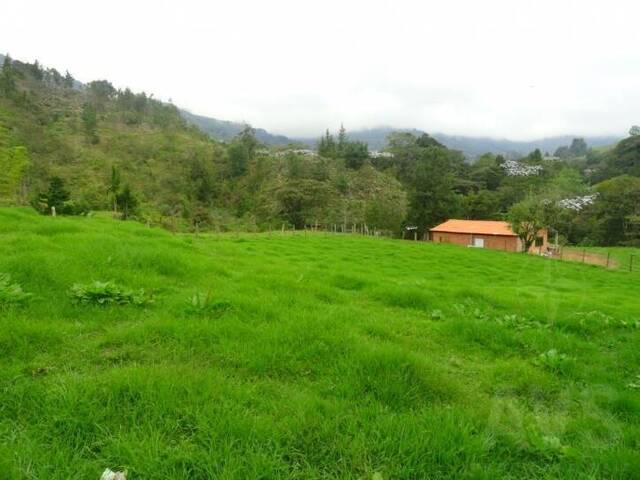 #475 - Finca para Venta en Rionegro - ANT - 2
