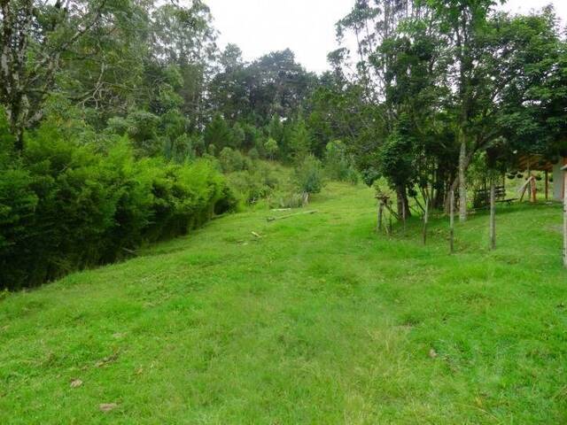 #475 - Finca para Venta en Rionegro - ANT - 3