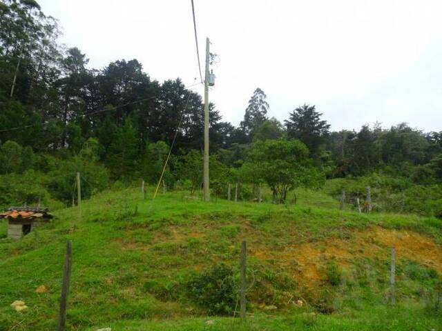 Finca para Venta en Rionegro - 5
