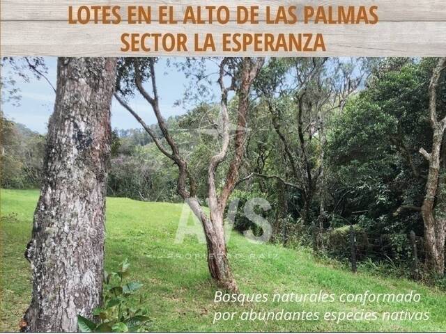 Terreno para Venta en Envigado - 4