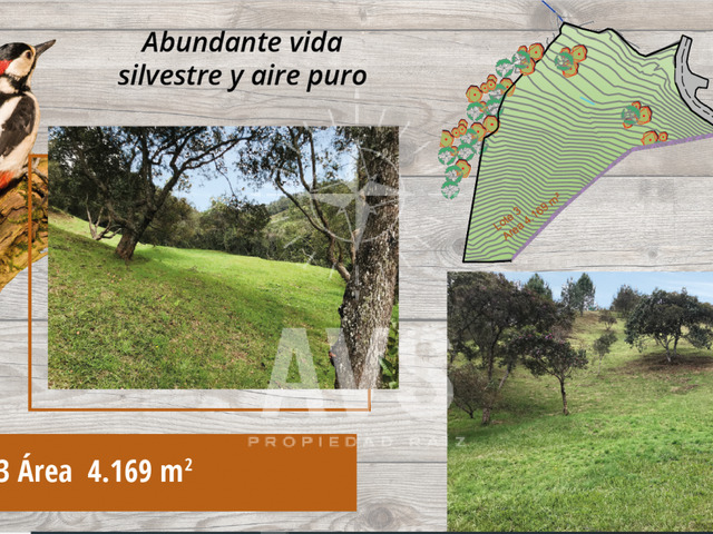 Terreno para Venta en Envigado - 4