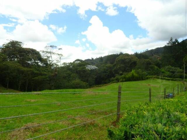 #516 - Terreno para Venta en Retiro - ANT - 2