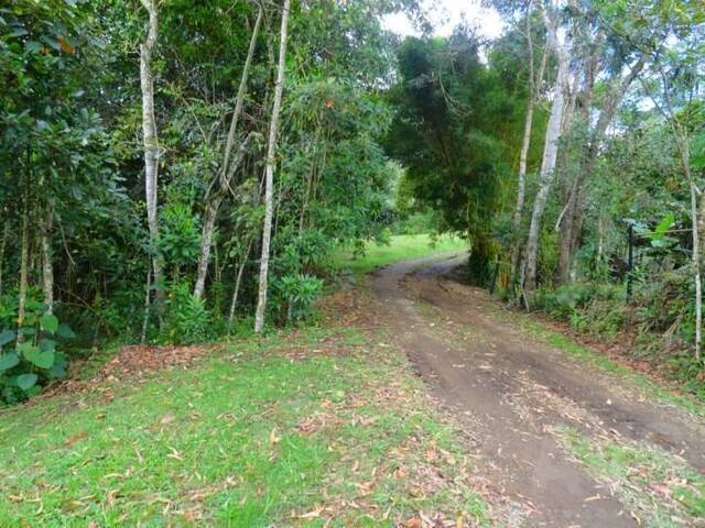 Terreno para Venta en La Ceja - 4