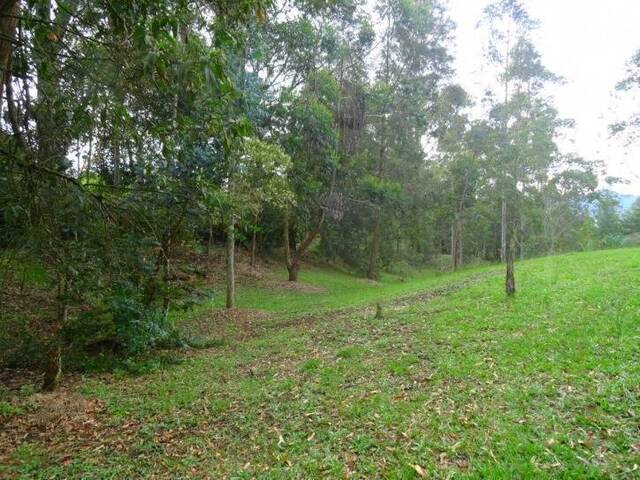 Terreno para Venta en La Ceja - 5