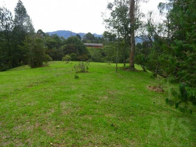 Terreno para Venta en La Ceja - 2