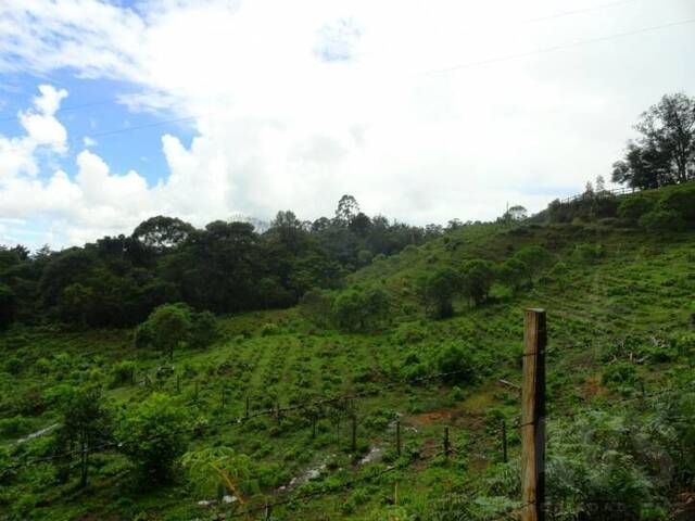Terreno para Venta en Rionegro - 2