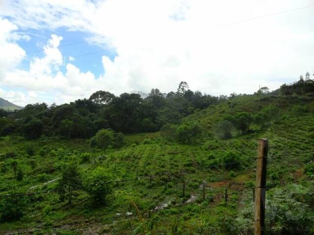 Terreno para Venta en Rionegro - 3