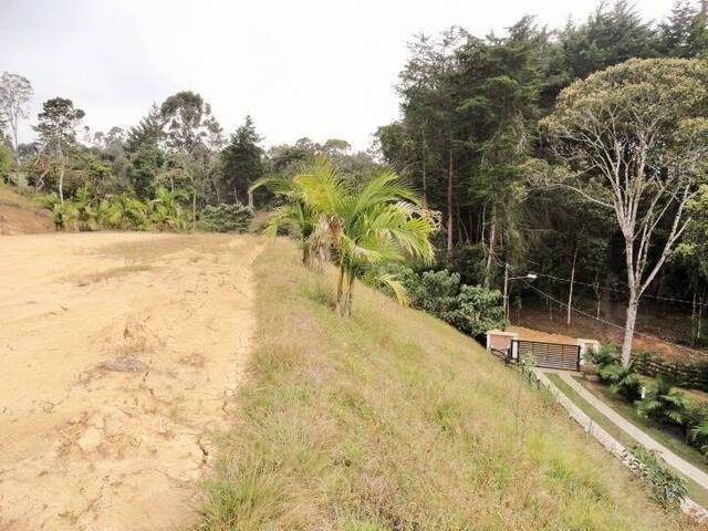 Terreno para Venta en Carmen de Viboral - 5