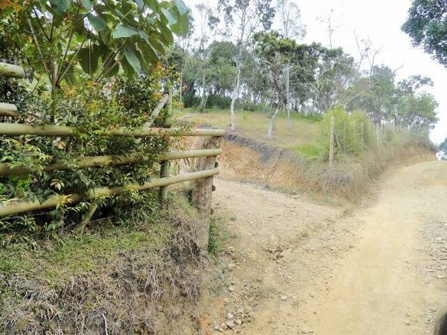 Terreno para Venta en Carmen de Viboral - 2