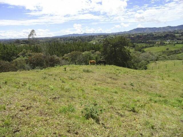 Terreno para Venta en Rionegro - 2
