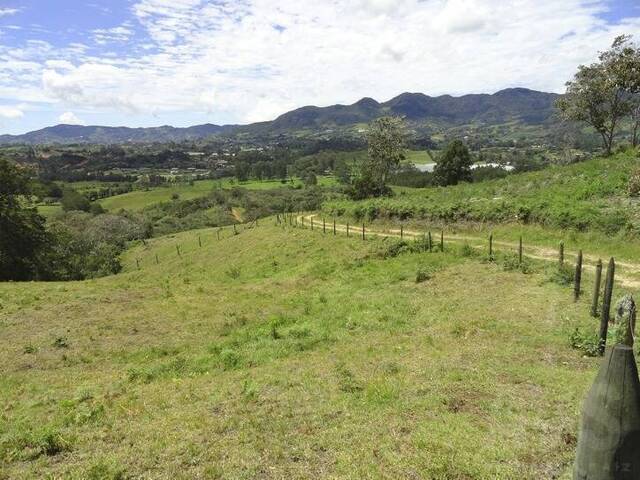Terreno para Venta en Rionegro - 3
