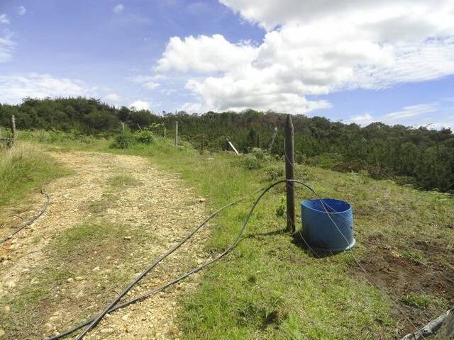 Terreno para Venta en Rionegro - 4