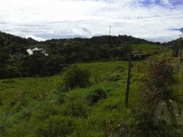 Industrial para Venta en Rionegro - 2