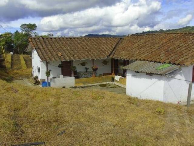 Industrial para Venta en Rionegro - 4