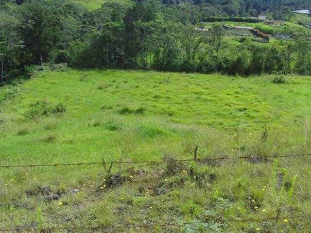 Industrial para Venta en Rionegro - 5