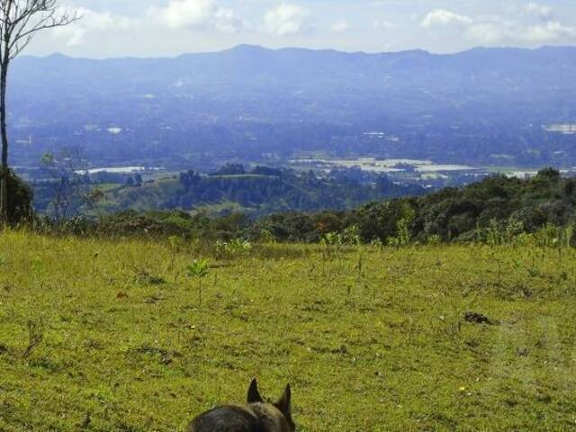 Terreno para Venta en Rionegro - 2