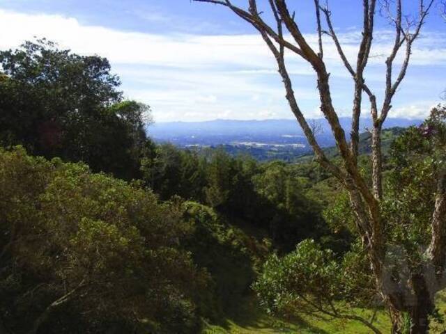 Terreno para Venta en Rionegro - 3