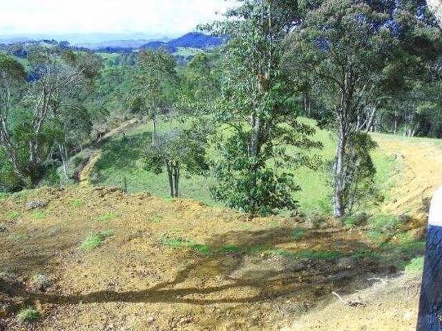 Terreno para Venta en Rionegro - 4