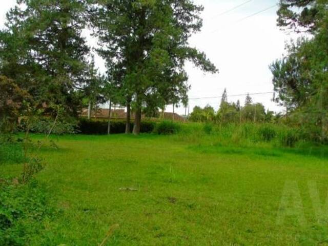 Terreno para Venta en Rionegro - 3