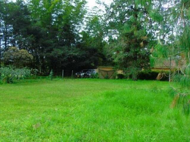 Terreno para Venta en Rionegro - 4