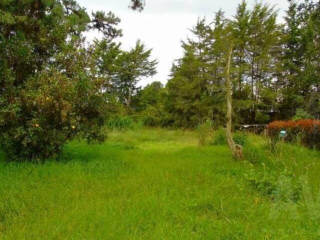 Terreno para Venta en Rionegro - 5