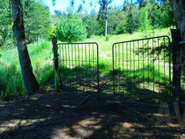 Terreno para Venta en La Ceja - 2