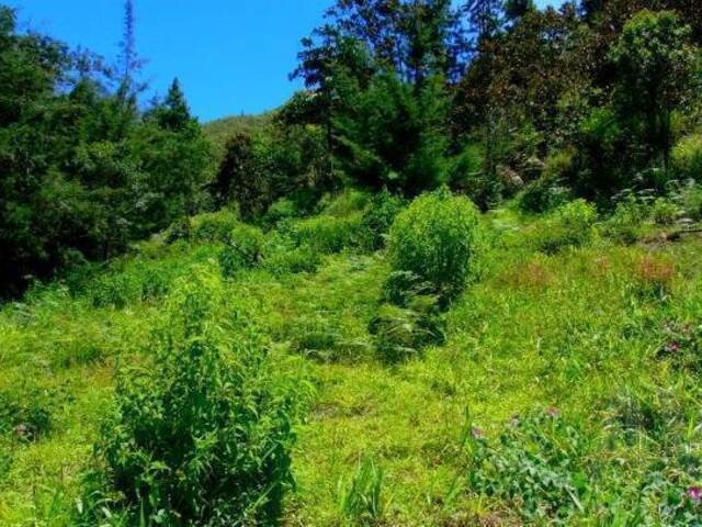 Terreno para Venta en La Ceja - 3