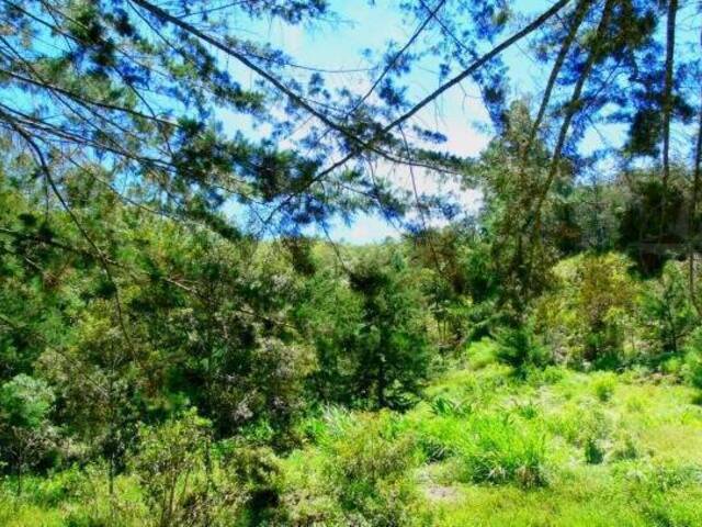 Terreno para Venta en La Ceja - 4