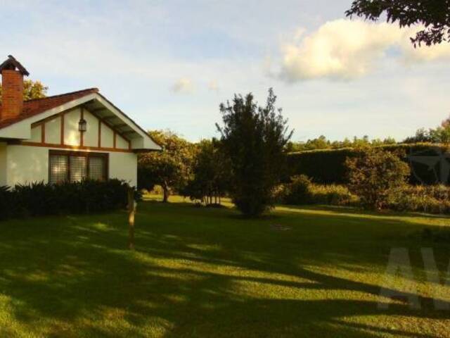Finca para Venta en Rionegro - 4