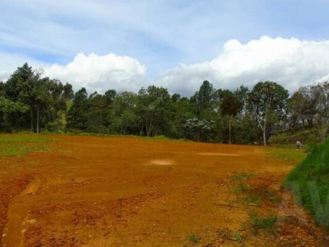 Terreno para Venta en Envigado - 5