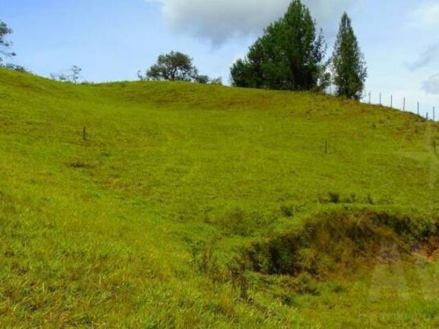 Terreno para Venta en Rionegro - 2