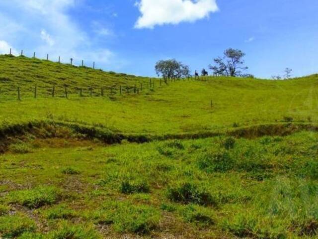 Terreno para Venta en Rionegro - 3